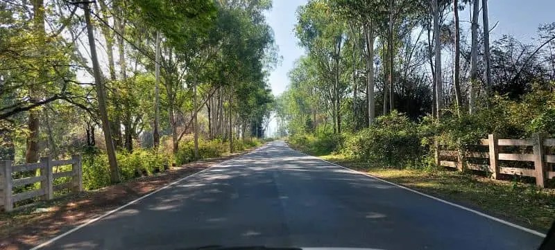 Solo Driving Sathyamangalam Forest Reserve & Dimbhum Ghat, Mysore to Coimbatore&nbsp;Route
