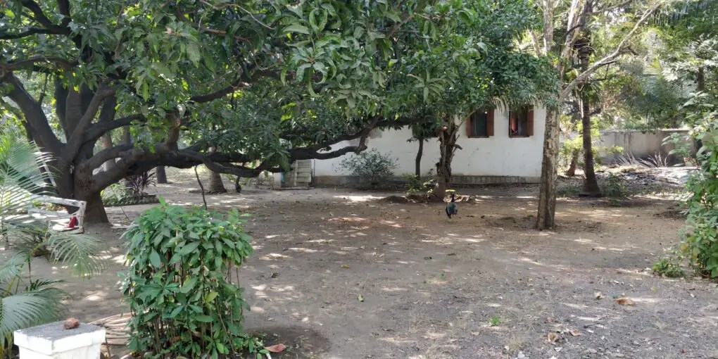 Dumas Beach Town Photo Story | Surat,&nbsp;Gujarat