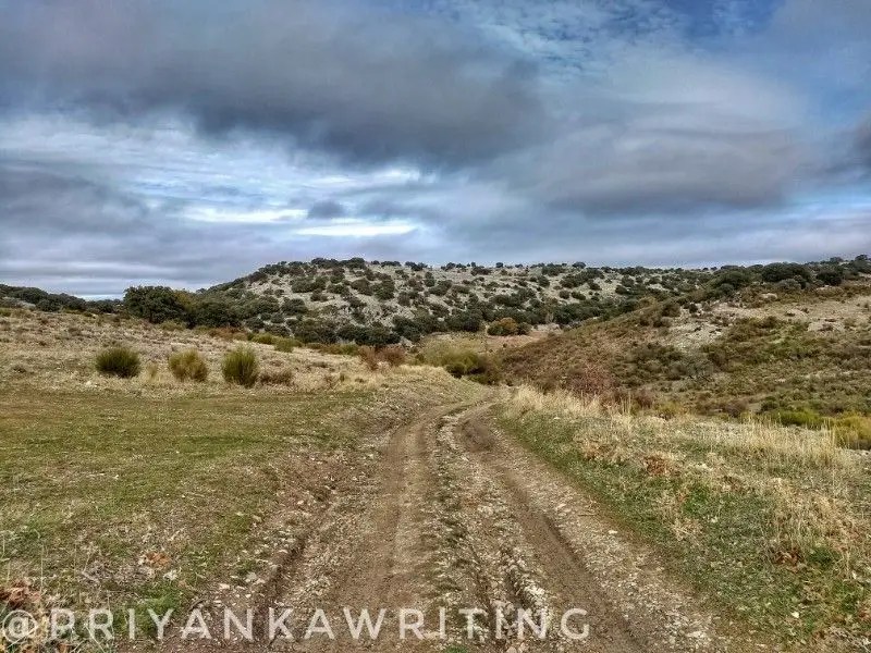 I Got Lost On A Solo Hike & Had To Be&nbsp;Rescued