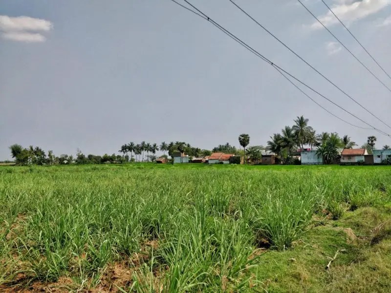 Mahavir Jain Temple in Kattumalaiyanur, a Tamil Nadu&nbsp;Village
