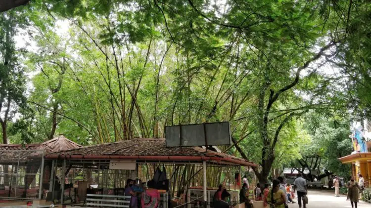 Arya Vaidya Pharmacy Major Center, Joys of Coimbatore