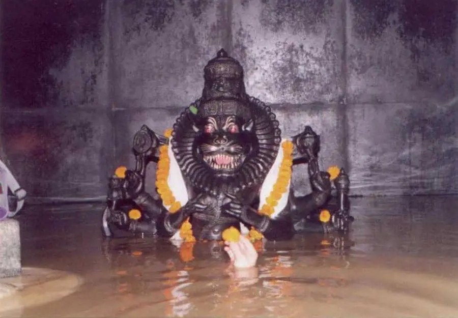 Mayapur Narasimha submerged due to a flood... being offered a flower