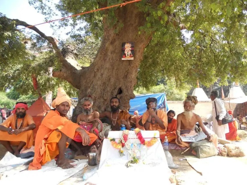 A Quick Intro to The Nath&nbsp;Sampradaya